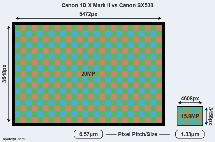 1DX Mark II versus SX530 MP