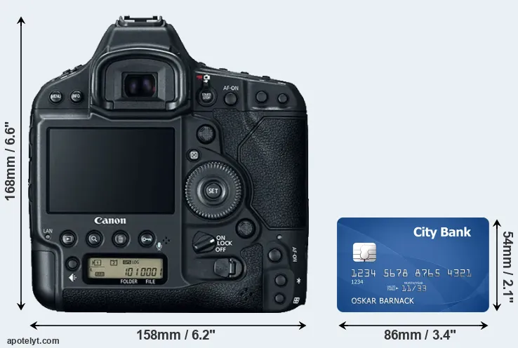 1DX Mark II and credit card rear side