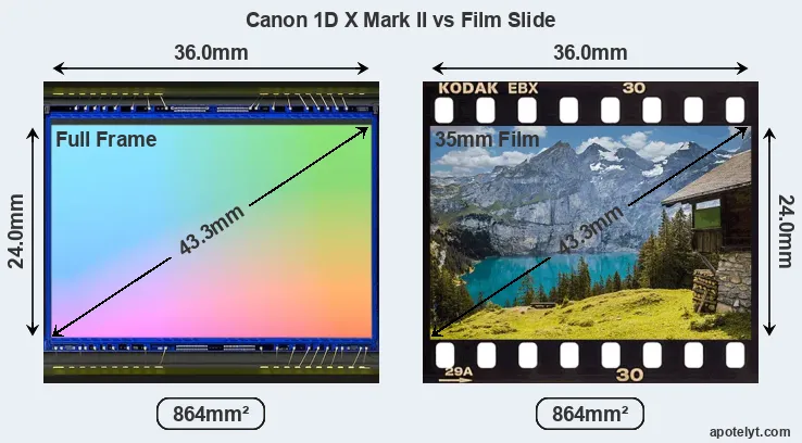Canon 1D X Mark II sensor measures