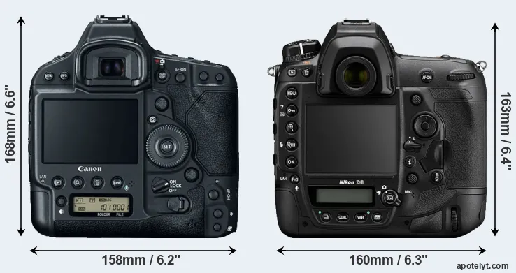 Comparison 1DX Mark II or D6 rear