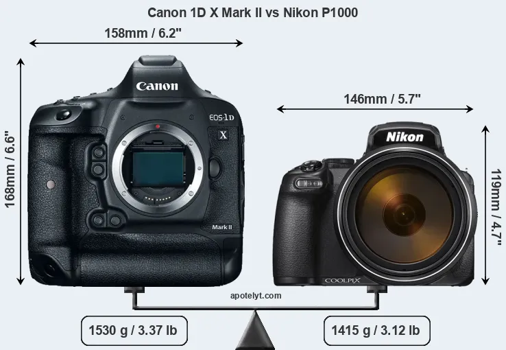 Size Canon 1D X Mark II vs Nikon P1000