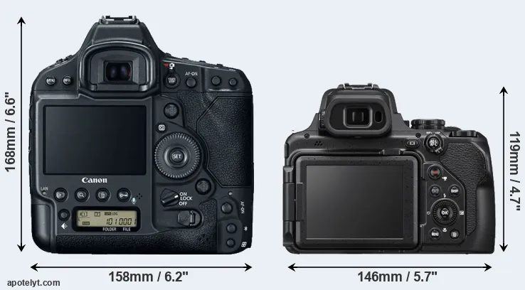 Comparison 1DX Mark II or P1000 rear