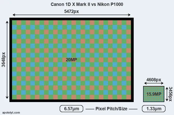 1DX Mark II versus P1000 MP