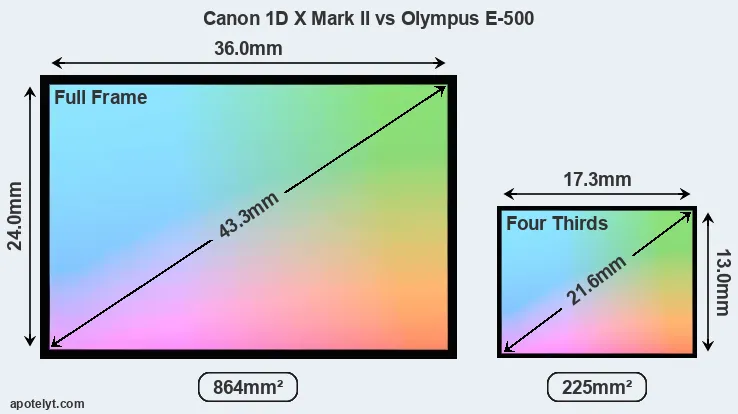 Canon 1D X Mark II and Olympus E-500 sensor measures