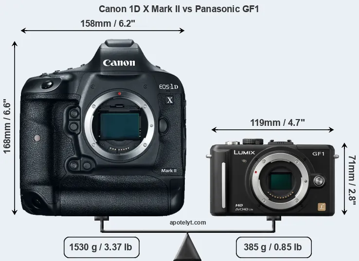 Size Canon 1D X Mark II vs Panasonic GF1