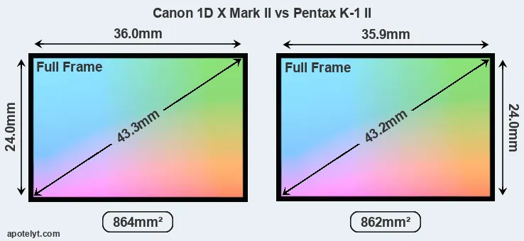 Canon 1D X Mark II and Pentax K-1 II sensor measures