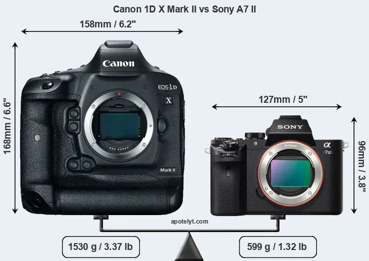 Size Canon 1D X Mark II vs Sony A7 II