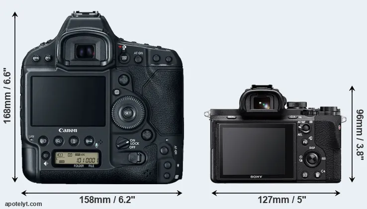 Comparison 1DX Mark II or A7 II rear