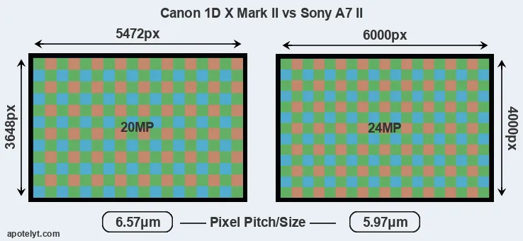 1DX Mark II versus A7 II MP