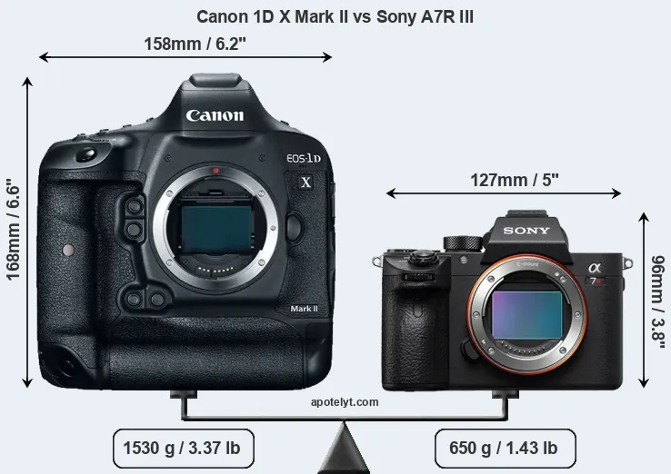 Size Canon 1D X Mark II vs Sony A7R III