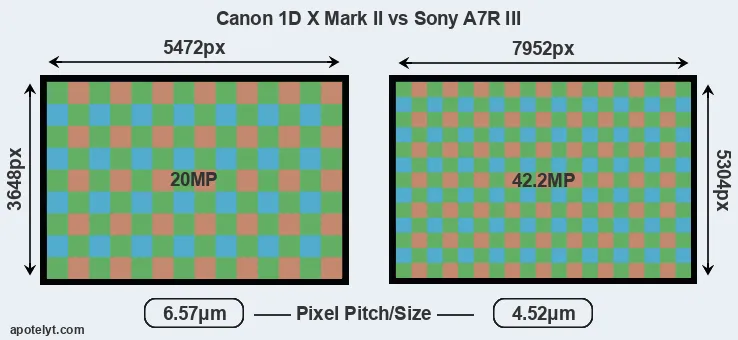 1DX Mark II versus A7R III MP