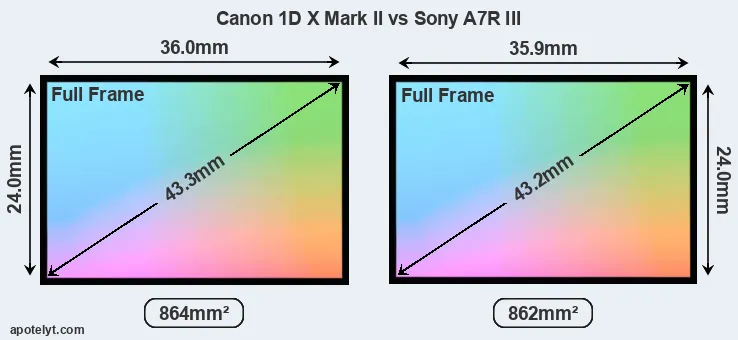 Canon 1D X Mark II and Sony A7R III sensor measures