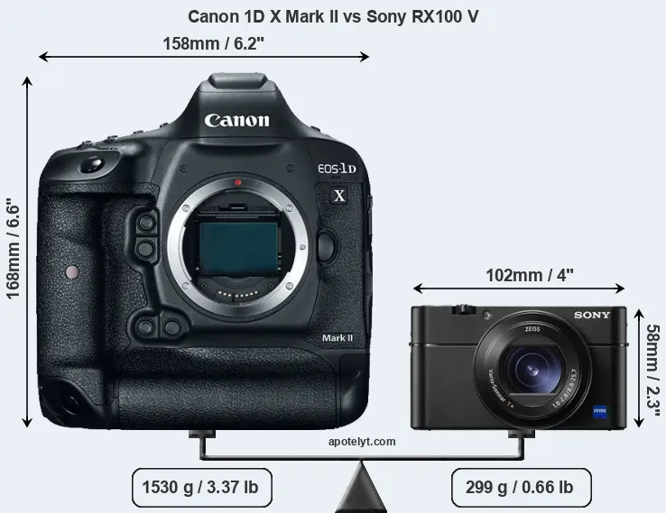 Size Canon 1D X Mark II vs Sony RX100 V