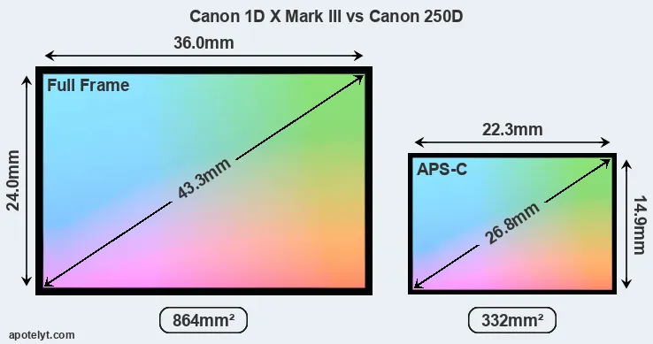 Canon 1D X Mark III and Canon 250D sensor measures