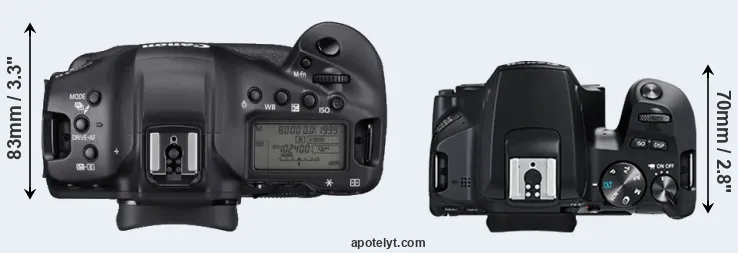 Compare 1DX Mark III versus 250D top