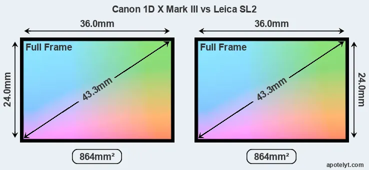 Canon 1D X Mark III and Leica SL2 sensor measures
