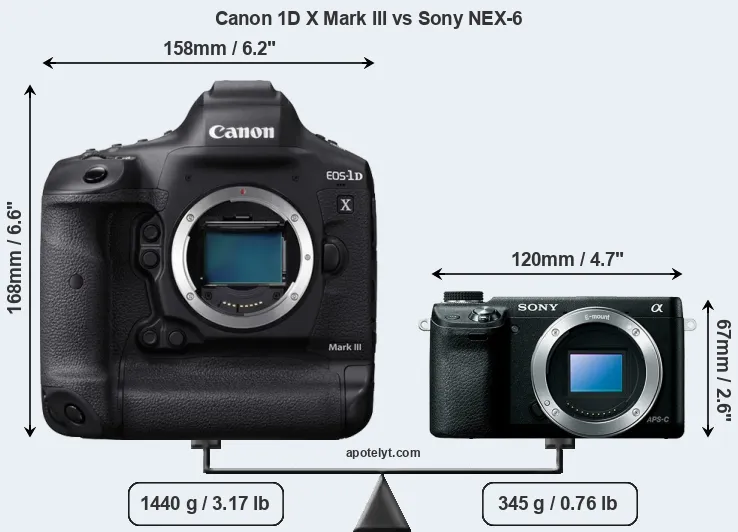 Size Canon 1D X Mark III vs Sony NEX-6