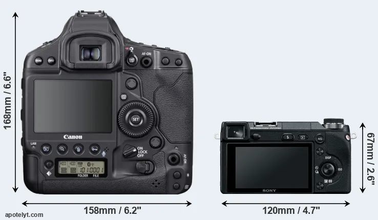 Comparison 1DX Mark III or NEX-6 rear