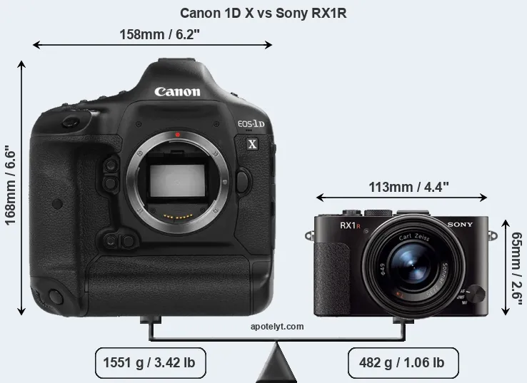 Size Canon 1D X vs Sony RX1R