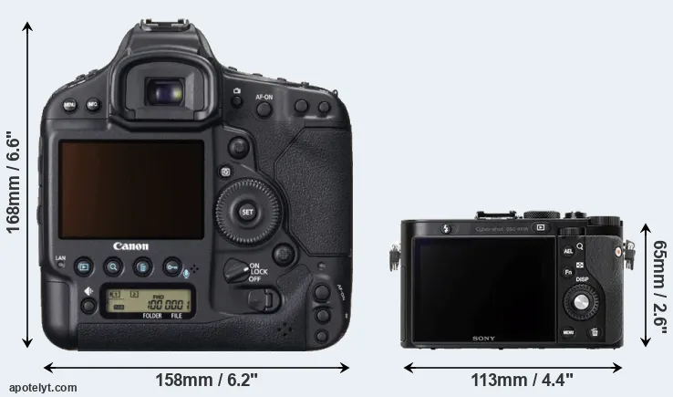 Comparison 1DX or RX1R rear