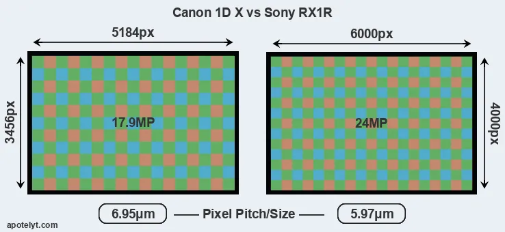 1DX versus RX1R MP