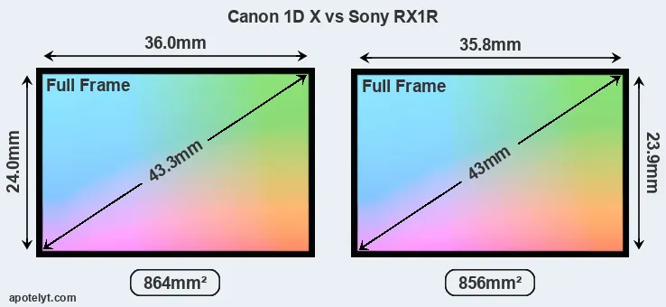 Canon 1D X and Sony RX1R sensor measures