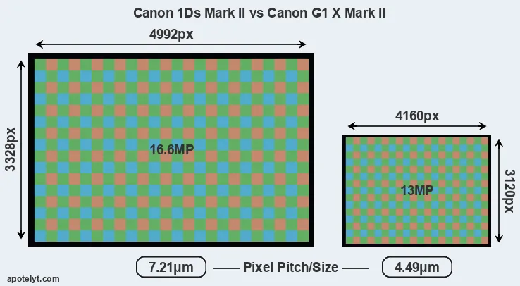 1Ds Mark II versus G1X Mark II MP