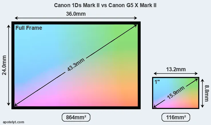 Canon 1Ds Mark II and Canon G5 X Mark II sensor measures