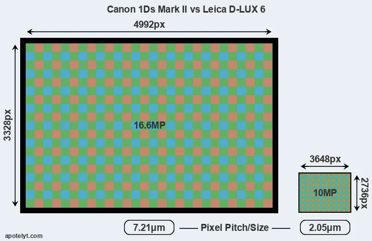 1Ds Mark II versus D-LUX 6 MP