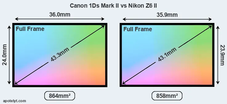 Canon 1Ds Mark II and Nikon Z6 II sensor measures