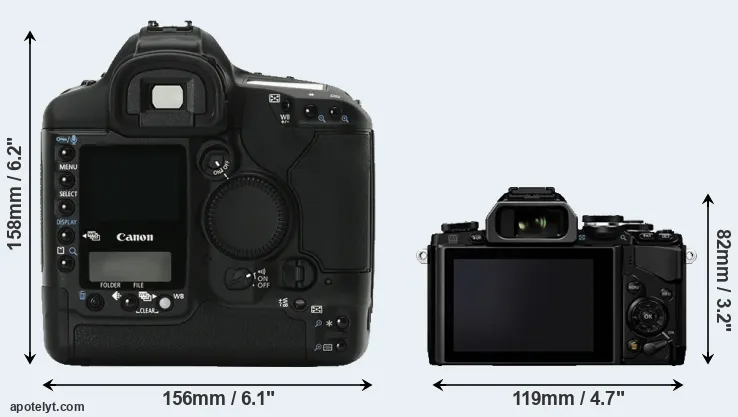 Comparison 1Ds Mark II or E-M10 rear