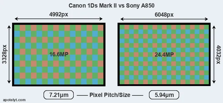 1Ds Mark II versus A850 MP