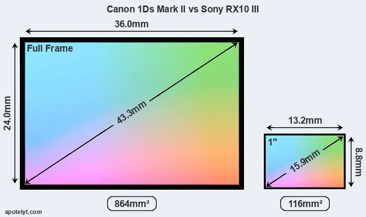 Canon 1Ds Mark II and Sony RX10 III sensor measures