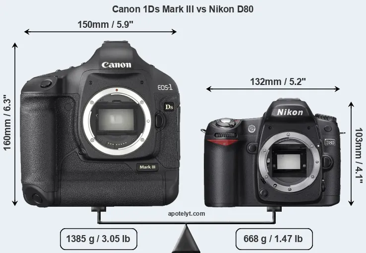 Size Canon 1Ds Mark III vs Nikon D80