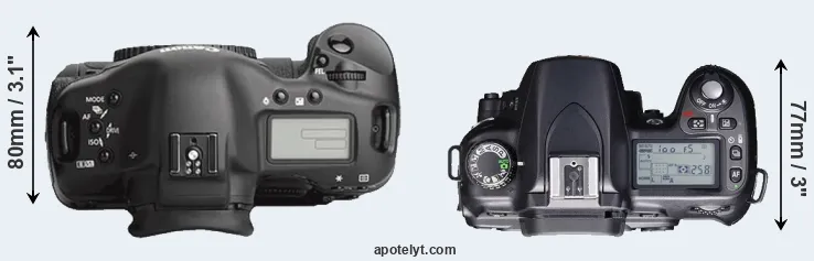 Compare 1Ds Mark III versus D80 top