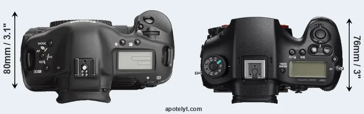 Compare 1Ds Mark III versus A99 II top