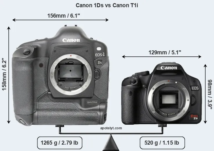 Size Canon 1Ds vs Canon T1i