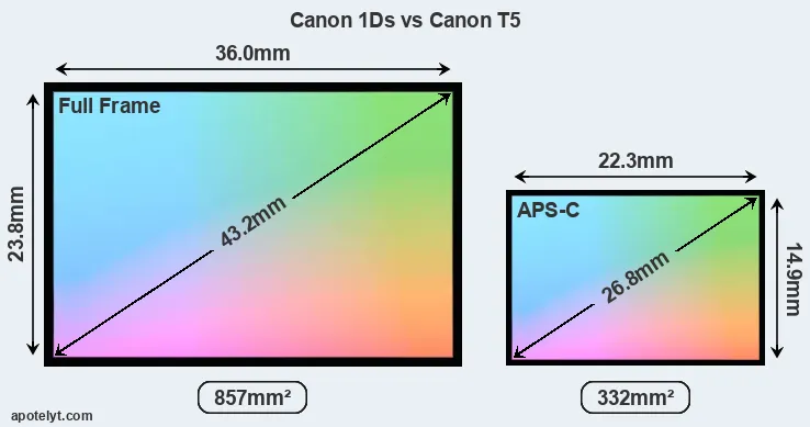 Canon 1Ds and Canon T5 sensor measures