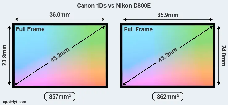 Canon 1Ds and Nikon D800E sensor measures