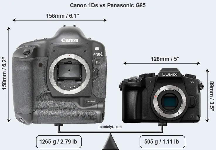 Size Canon 1Ds vs Panasonic G85
