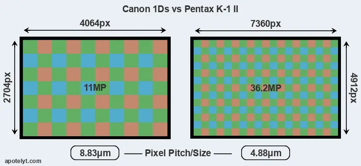 1Ds versus K-1 II MP