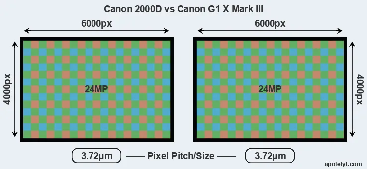 2000D versus G1X Mark III MP
