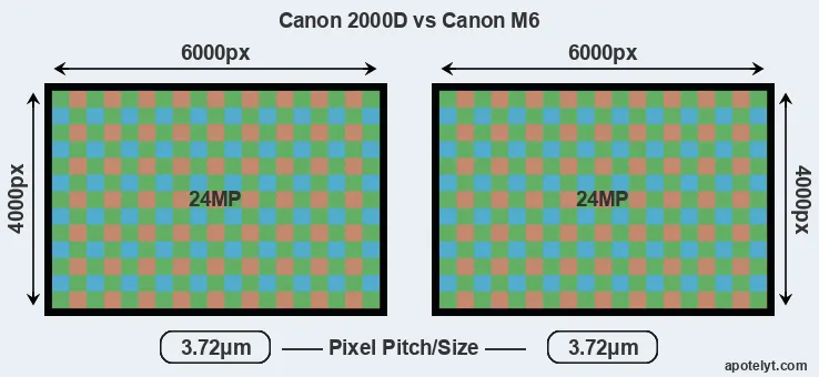 2000D versus M6 MP