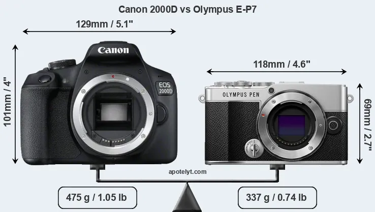 Size Canon 2000D vs Olympus E-P7