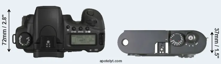 Compare 20D versus M8 top