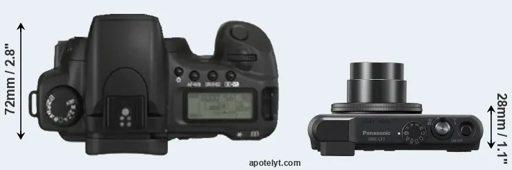 Compare 20D versus LF1 top