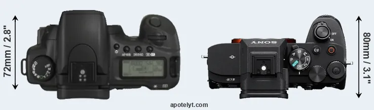 Compare 20D versus A7 IV top