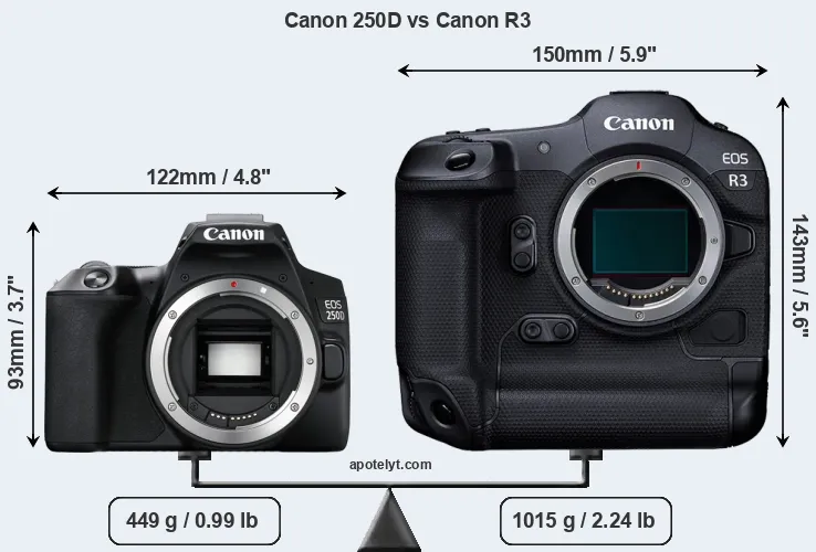 Size Canon 250D vs Canon R3