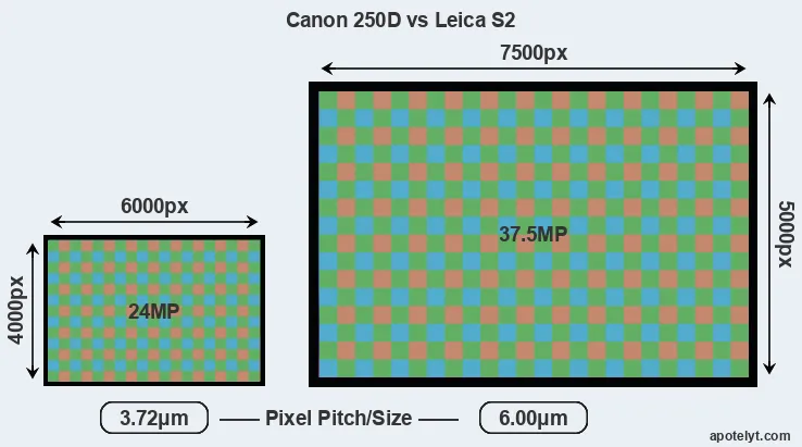 250D versus S2 MP