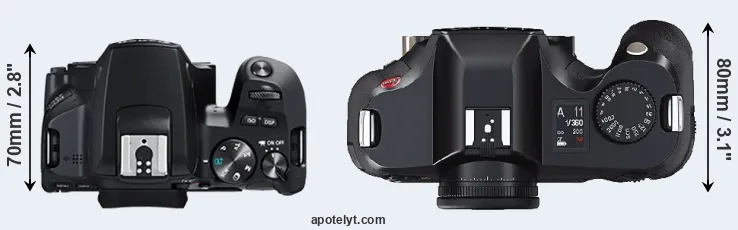 Compare 250D versus S2 top